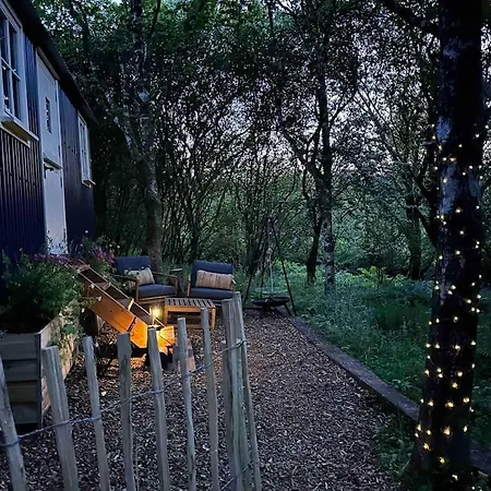 Cornwall Woodland Shepherd'S Hut - Dennis Hut Bodmin Buitenkant foto