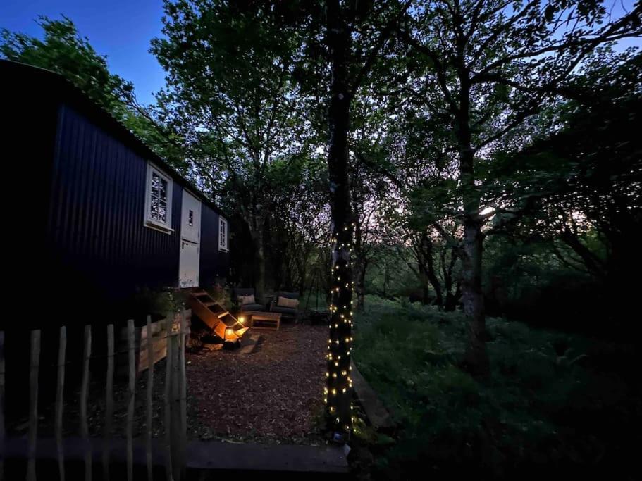 Cornwall Woodland Shepherd's Hut - Dennis Hut Apartment *
