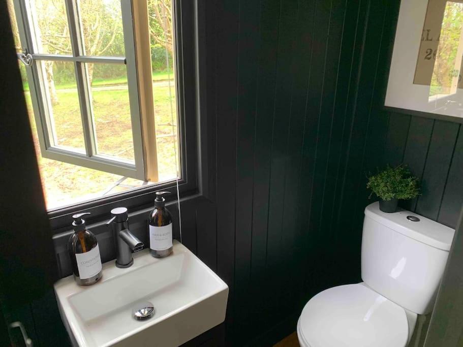 Apartment Cornwall Woodland Shepherd's Hut - Dennis Hut Bodmin