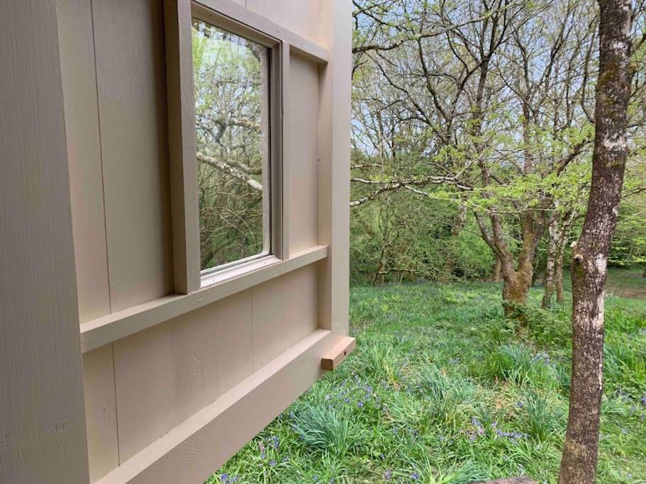 Apartment Cornwall Woodland Shepherd's Hut - Dennis Hut