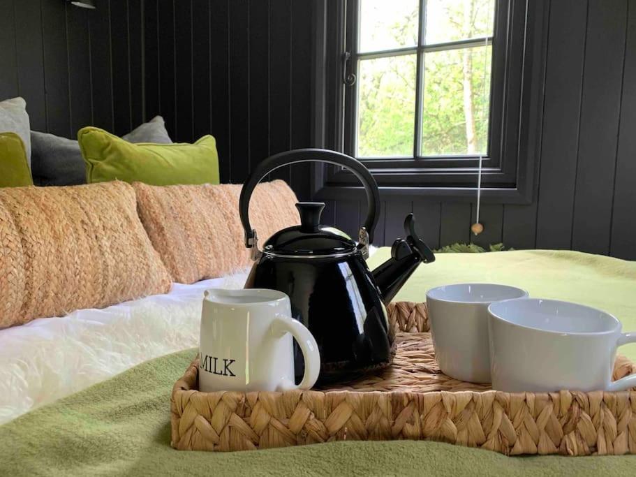 Cornwall Woodland Shepherd's Hut - Dennis Hut Apartment *