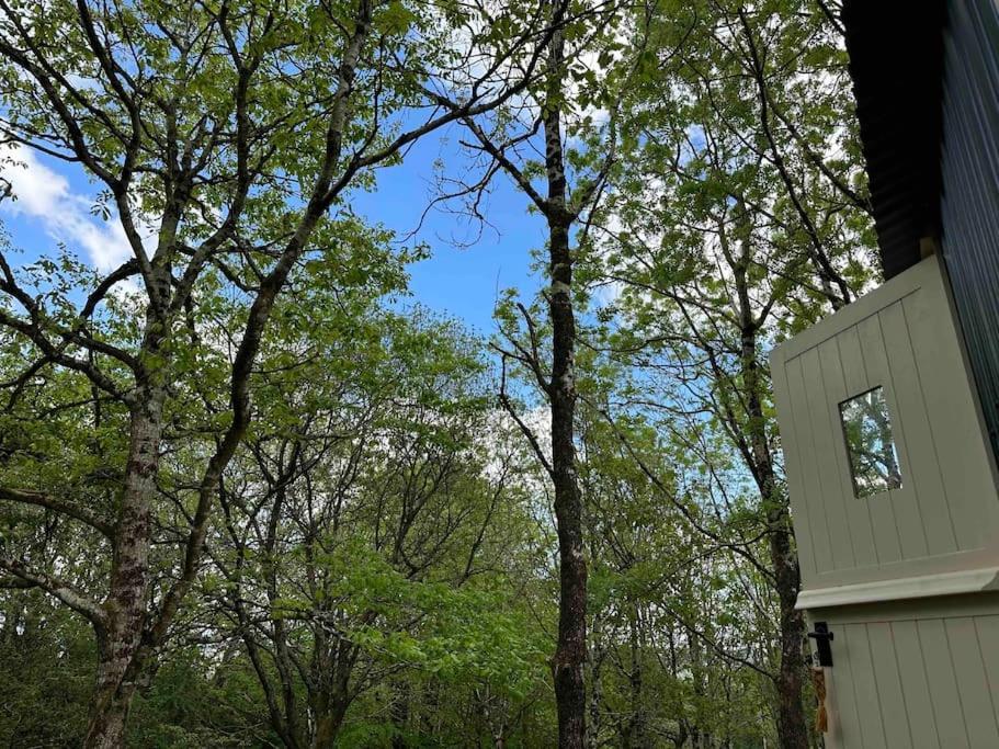 Cornwall Woodland Shepherd's Hut - Dennis Hut * Bodmin