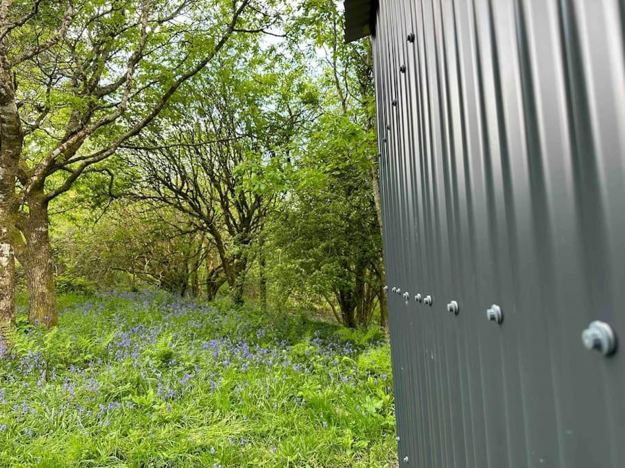 Cornwall Woodland Shepherd's Hut - Dennis Hut Apartment Bodmin