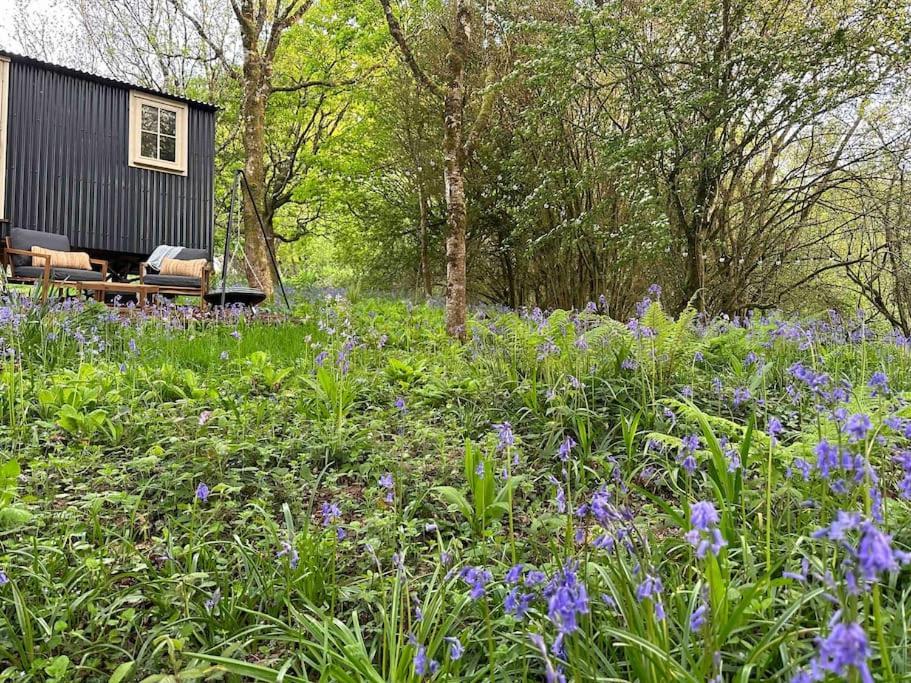 Cornwall Woodland Shepherd's Hut - Dennis Hut
