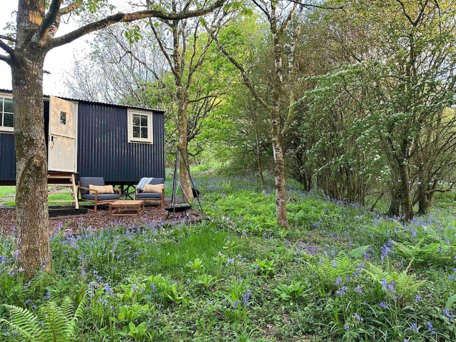 Cornwall Woodland Shepherd's Hut - Dennis Hut Apartment