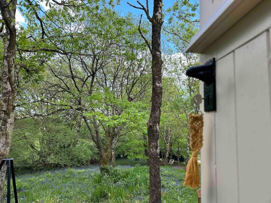 Apartment Cornwall Woodland Shepherd's Hut - Dennis Hut *