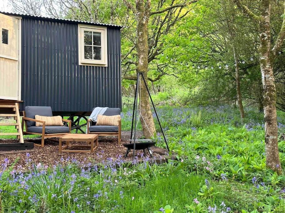 Apartment Cornwall Woodland Shepherd's Hut - Dennis Hut